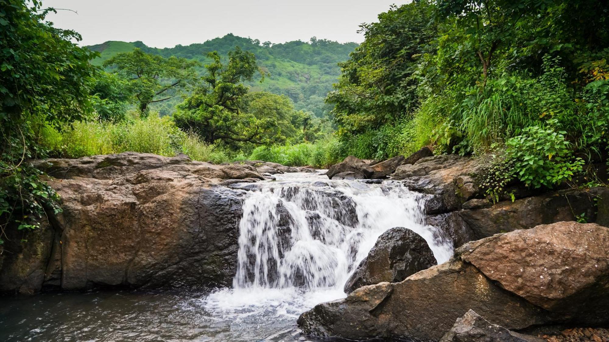 Whispering Peepul Resort Badlapur Bagian luar foto