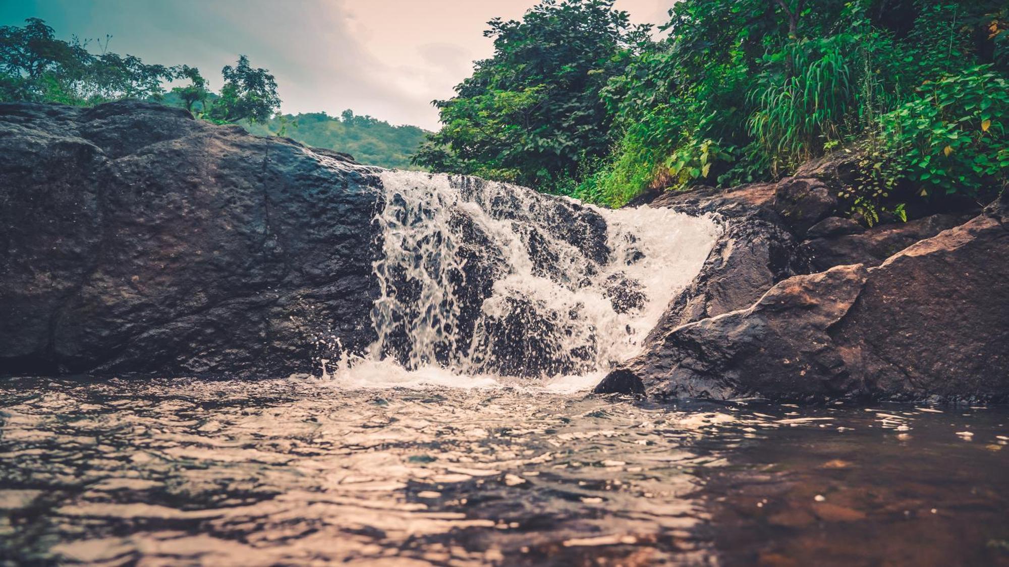 Whispering Peepul Resort Badlapur Bagian luar foto