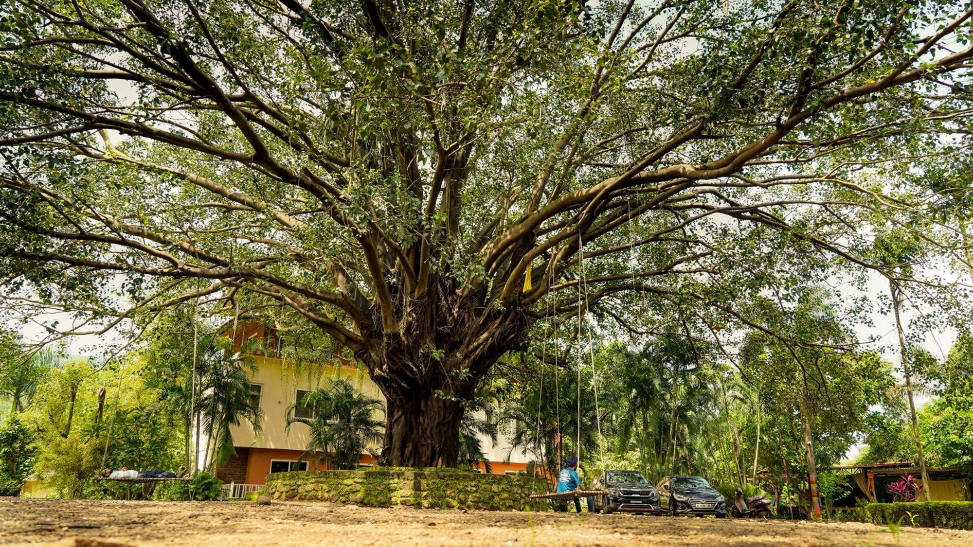Whispering Peepul Resort Badlapur Bagian luar foto