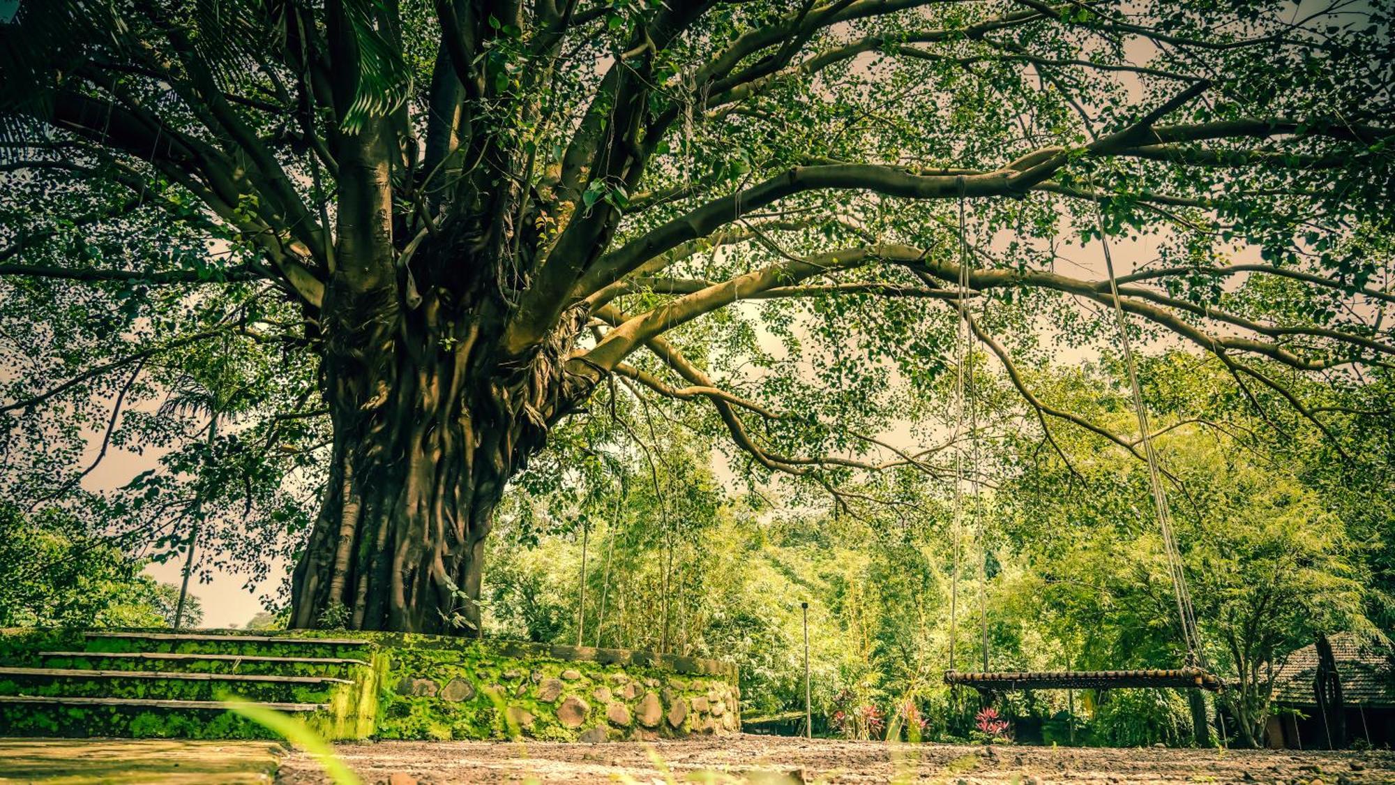Whispering Peepul Resort Badlapur Bagian luar foto