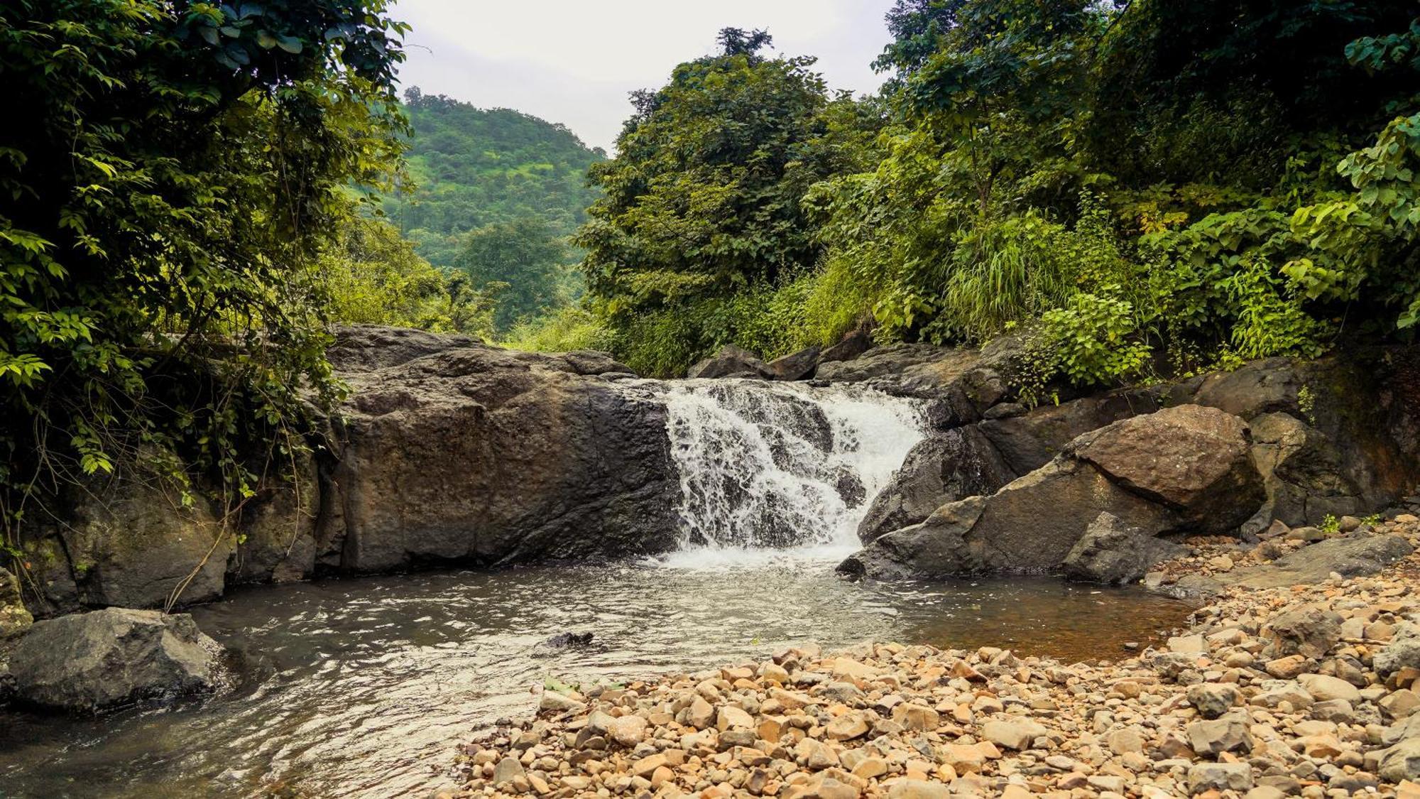 Whispering Peepul Resort Badlapur Bagian luar foto