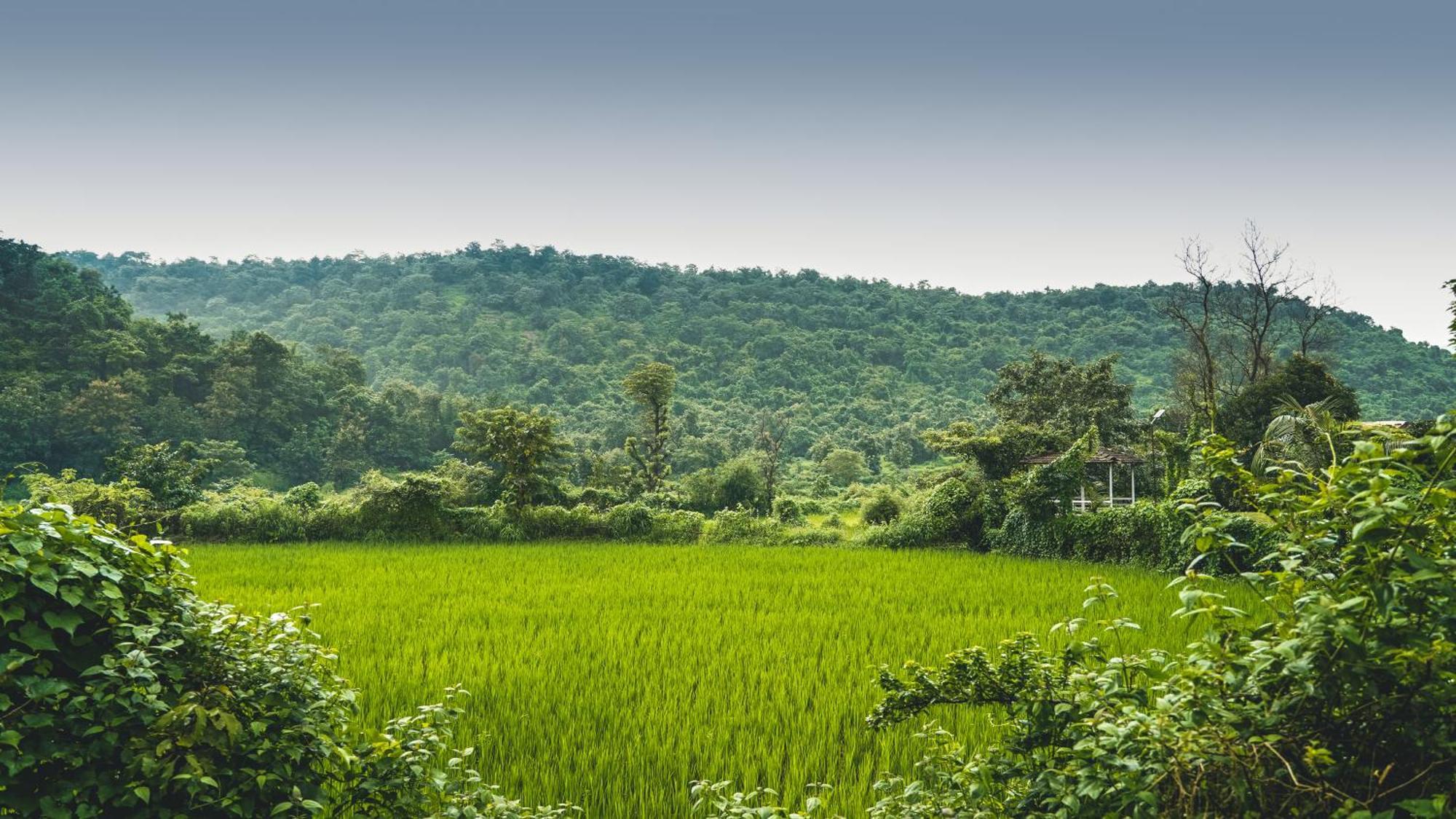 Whispering Peepul Resort Badlapur Bagian luar foto